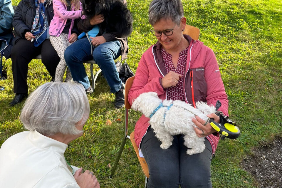 Tiersegnung in SagognBenedicziun d’animals