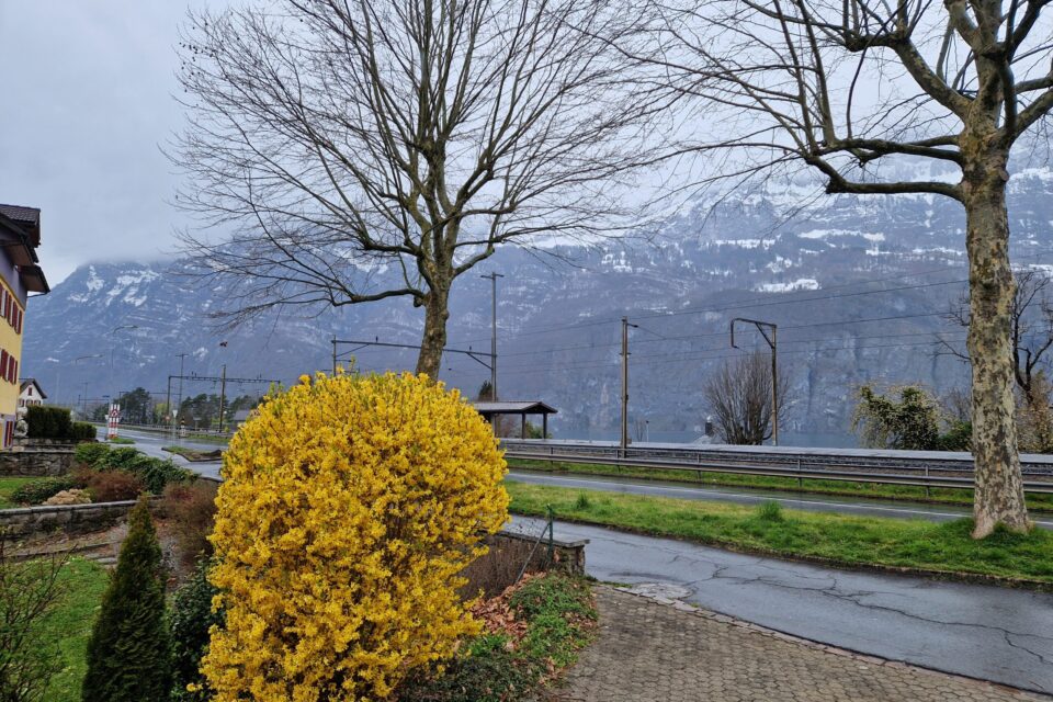 Fastitgs el meins avrel